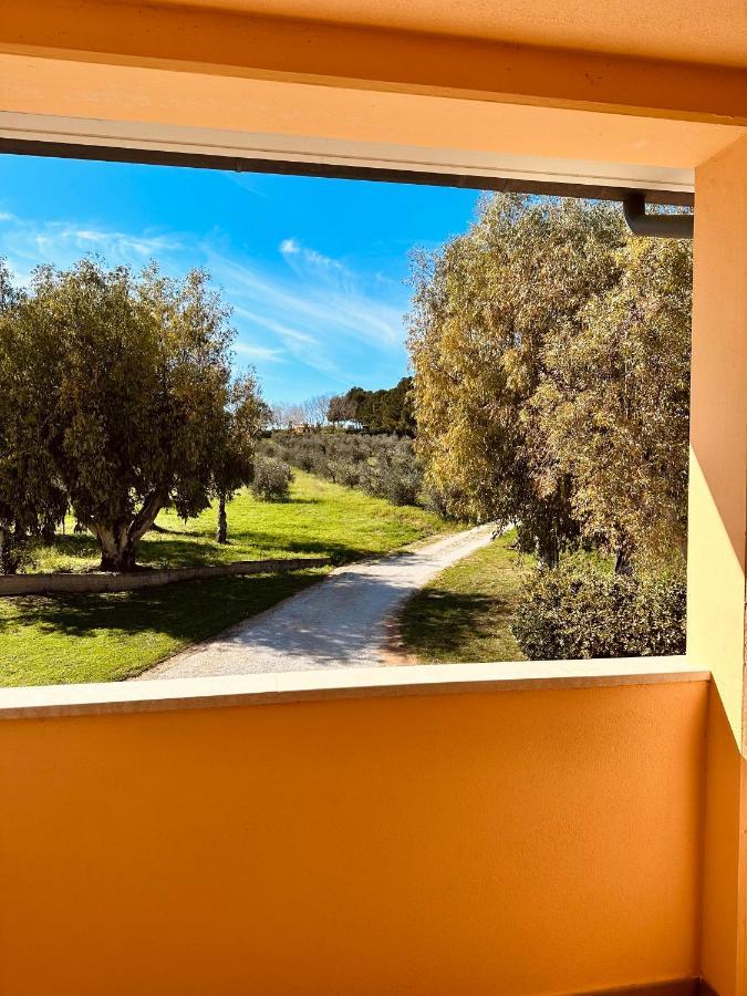 Agricampeggio La Piaggia - Bauernhof Piombino