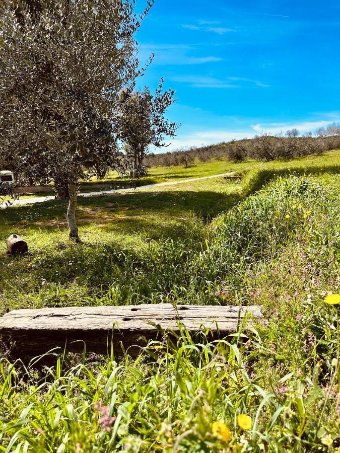 Bauernhof Agricampeggio La Piaggia -