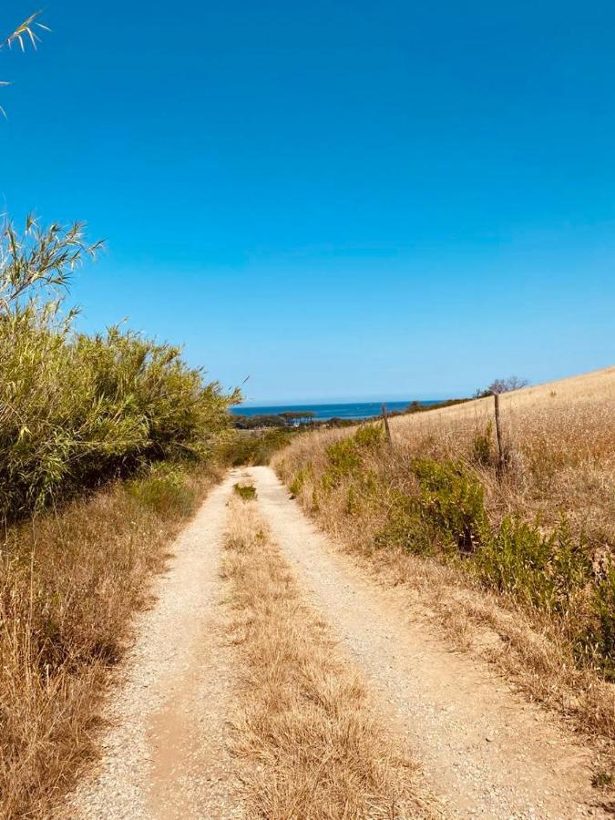 Agricampeggio La Piaggia - * Piombino