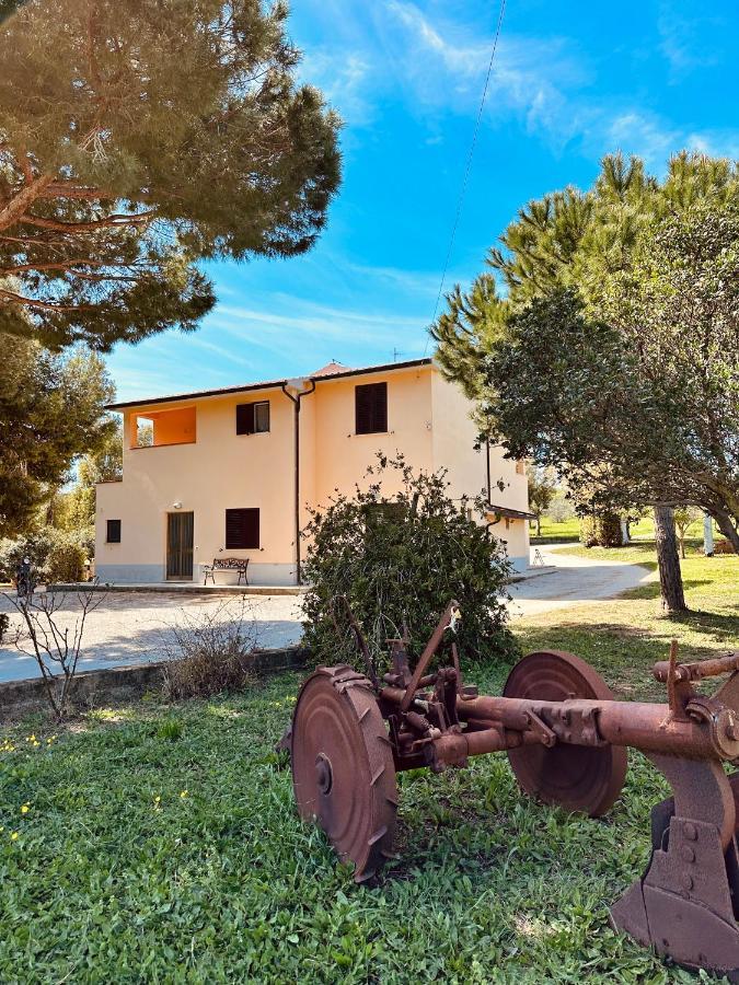 Vakantieboerderij Agricampeggio La Piaggia - Piombino